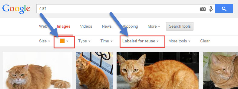 Google Cats Search