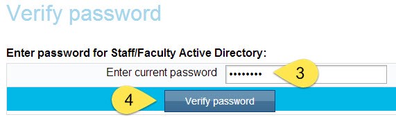 Verify Password